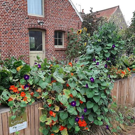 Les Jardins D'Olus Villa Wandignies-Hamage Eksteriør billede